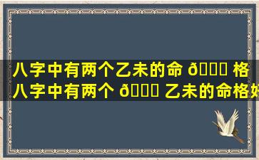 八字中有两个乙未的命 🍀 格（八字中有两个 🍁 乙未的命格好不好）